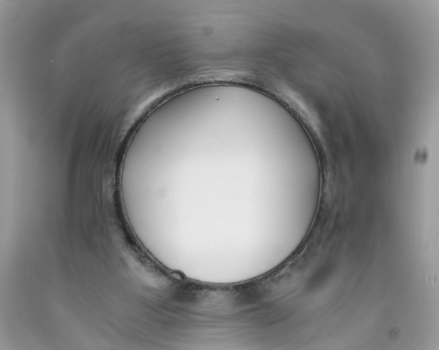 X0000091520107200709141422