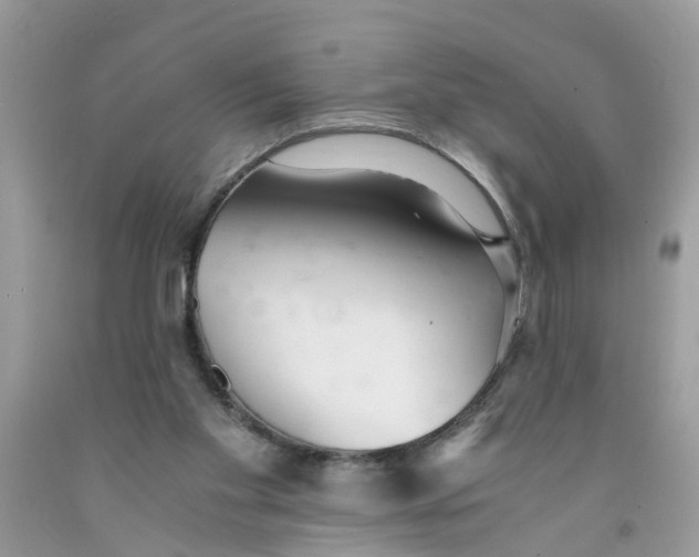 X0000091520109200709141422