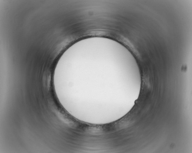 X0000091520110200709141422