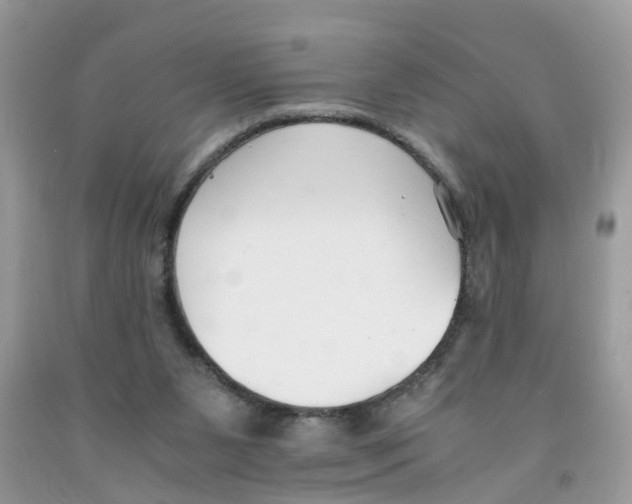 X0000091520111200709141422