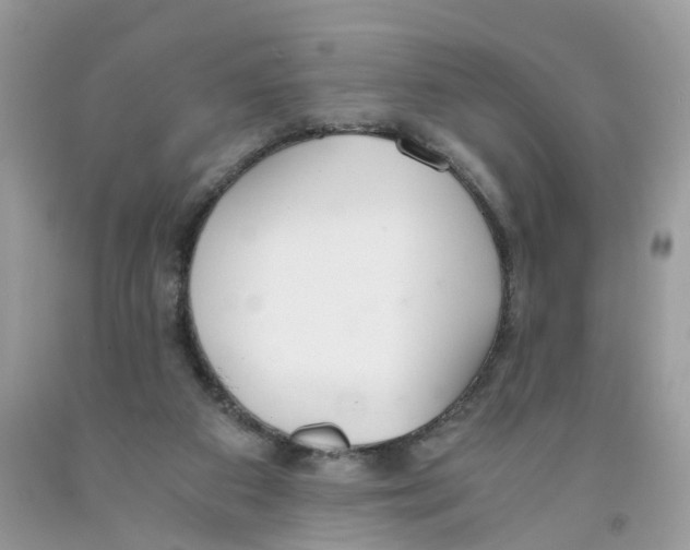 X0000091520113200709141422