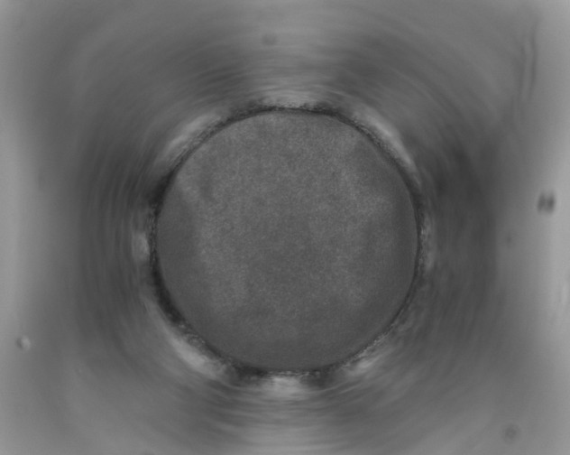 X0000091520114200709141422