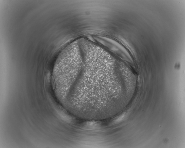 X0000091520117200709141422