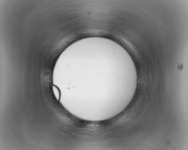 X0000091520119200709141422