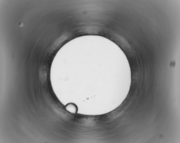 X0000091520120200709141422