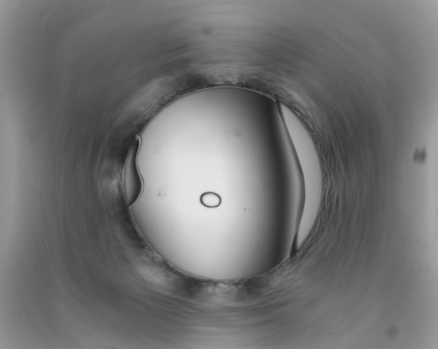 X0000091520125200709141422