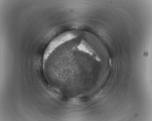 X0000091520127200709141422