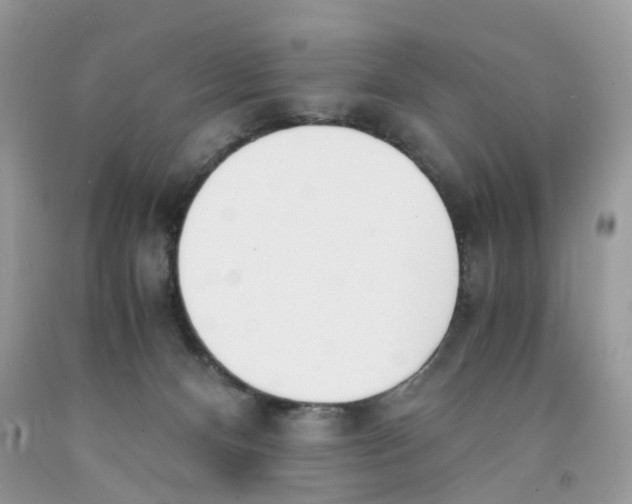 X0000091520128200709141422