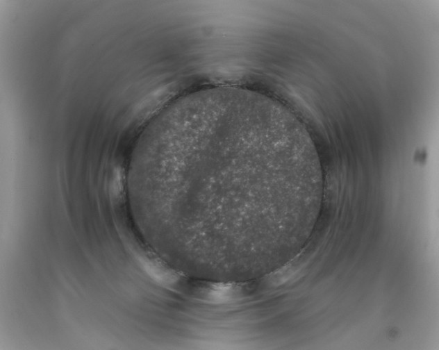 X0000091520130200709141422