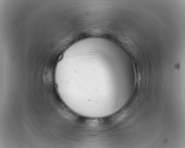 X0000091520131200709141422