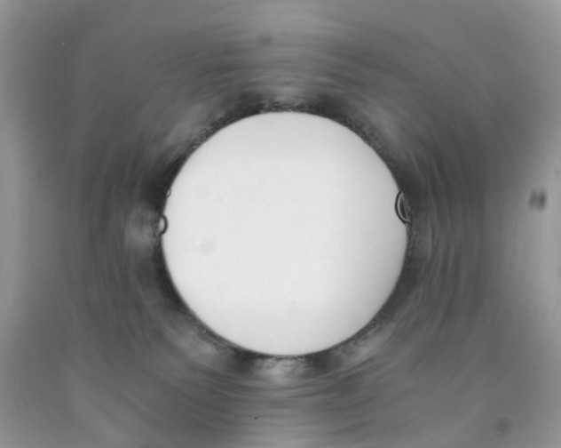 X0000091520135200709141422