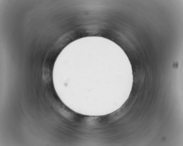 X0000091520136200709141422