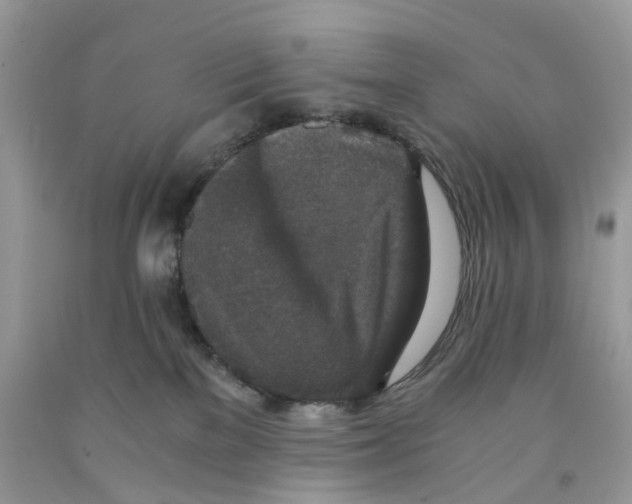 X0000091520137200709141422