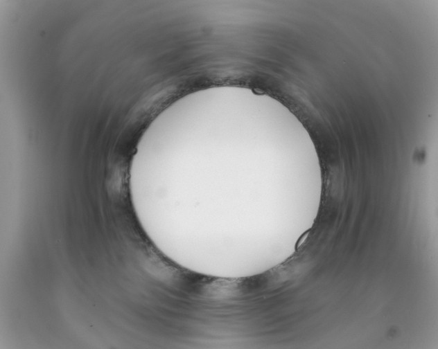 X0000091520138200709141422