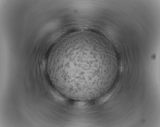 X0000091520139200709141422