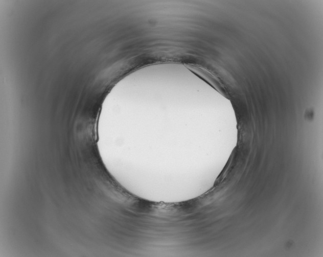 X0000091520141200709141422