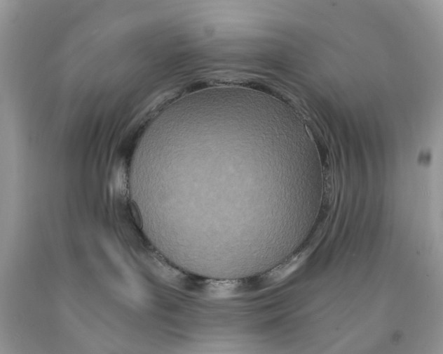 X0000091520143200709141422