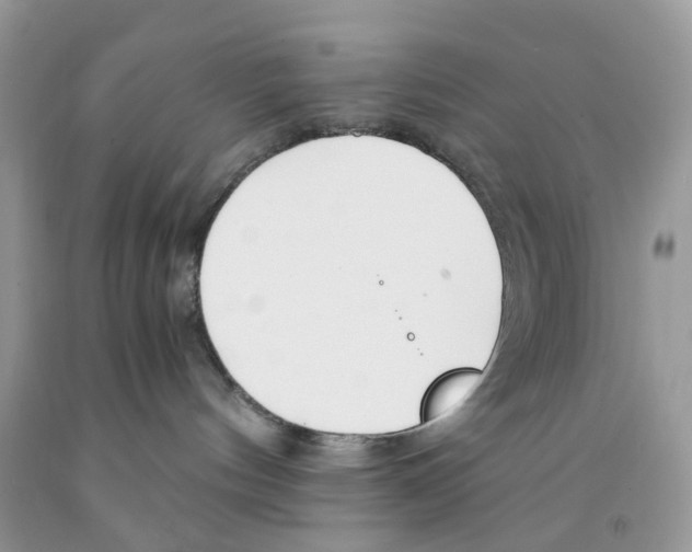 X0000091520144200709141422