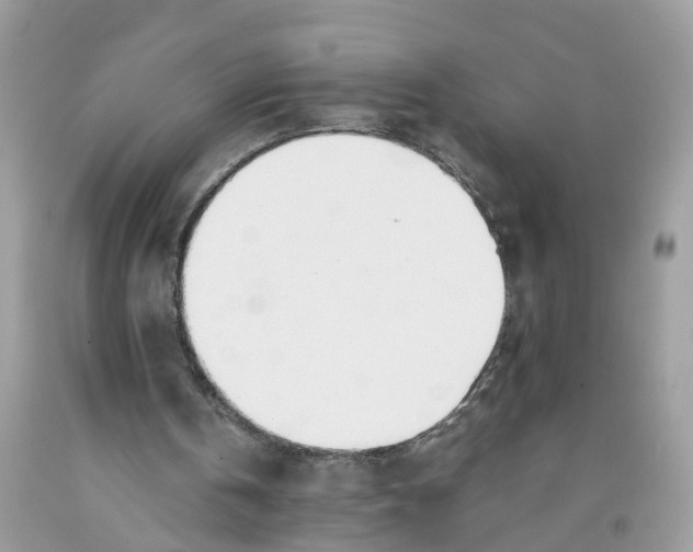 X0000091520146200709141421