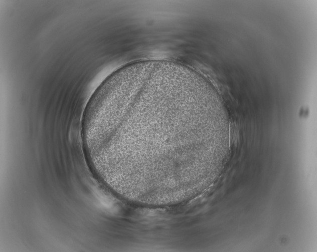 X0000091520147200709141421