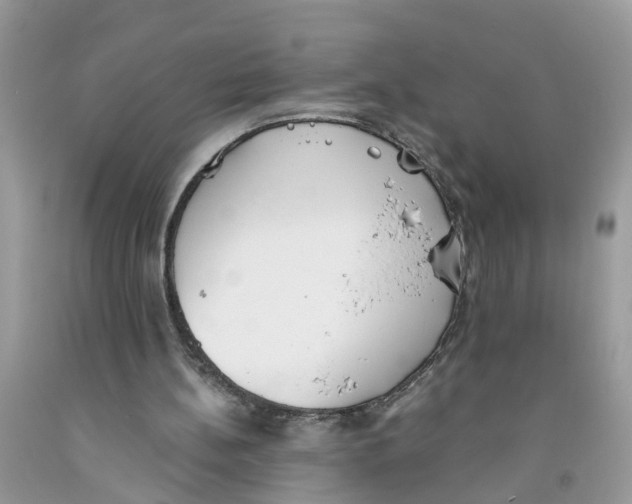 X0000091520148200709141421