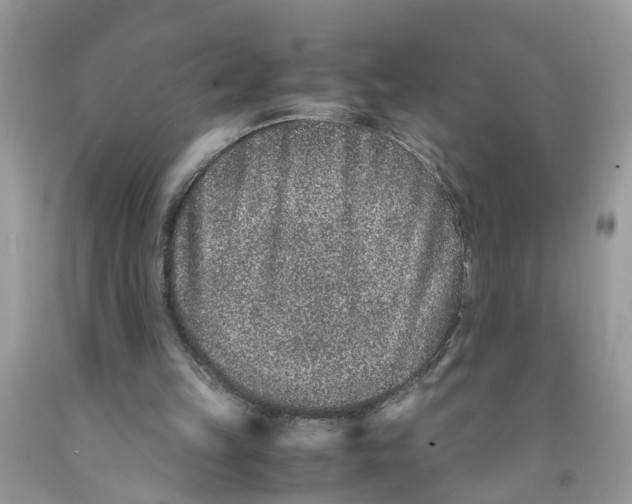 X0000091520149200709141421