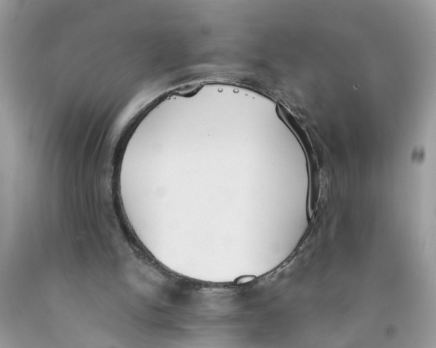 X0000091520150200709141421