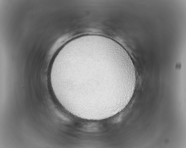 X0000091520151200709141421