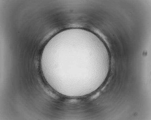 X0000091520153200709141421