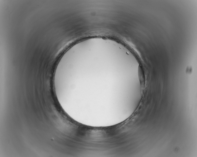 X0000091520154200709141422