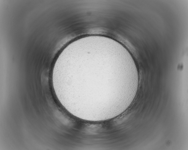 X0000091520155200709141422