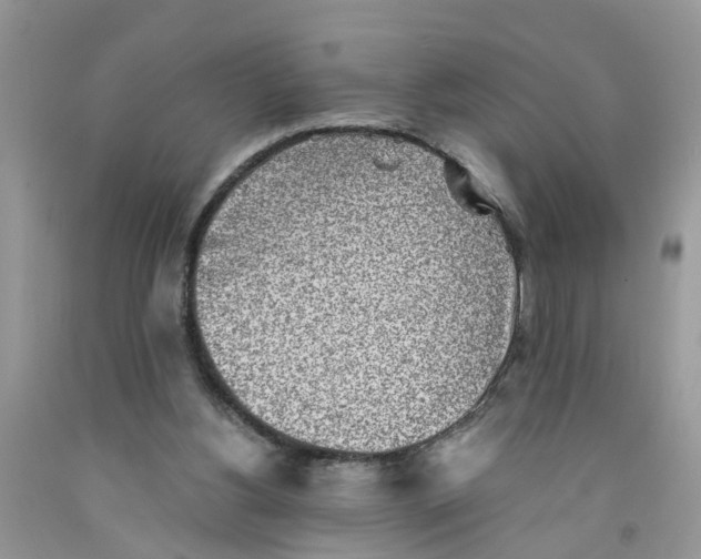 X0000091520156200709141422