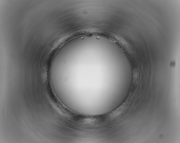 X0000091520158200709141422