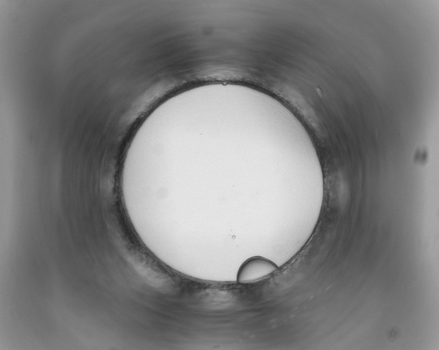 X0000091520159200709141422