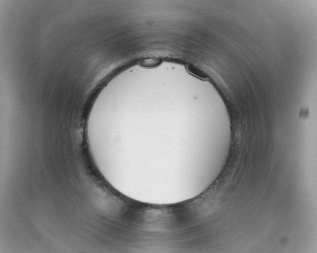 X0000091520160200709141422