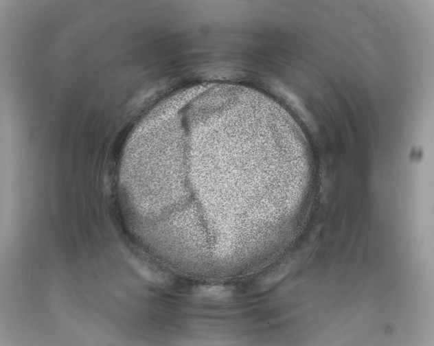 X0000091520161200709141422