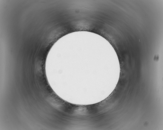 X0000091520162200709141422