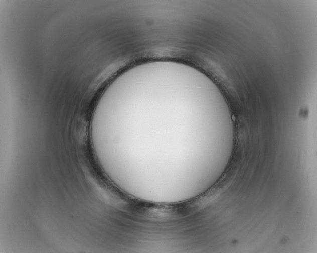 X0000091520164200709141422