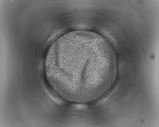 X0000091520165200709141422