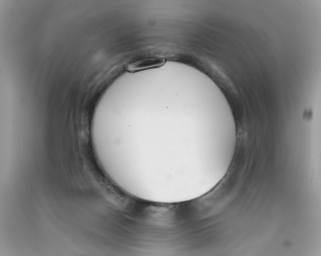 X0000091520170200709141422