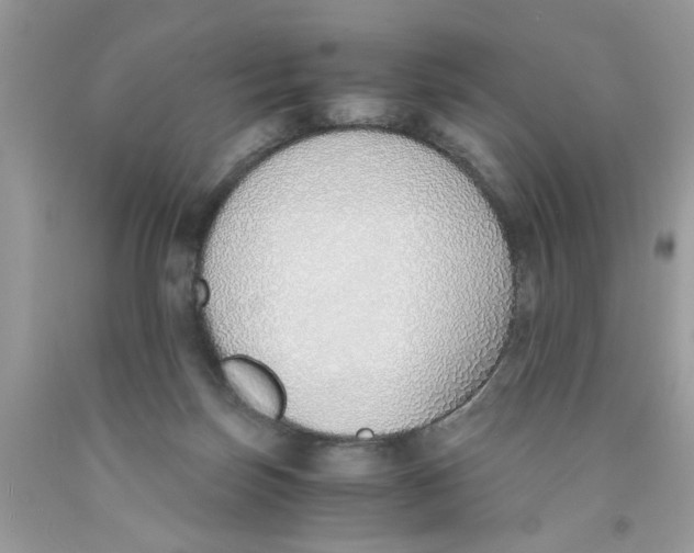 X0000091520171200709141422