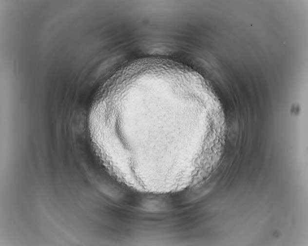 X0000091520175200709141422