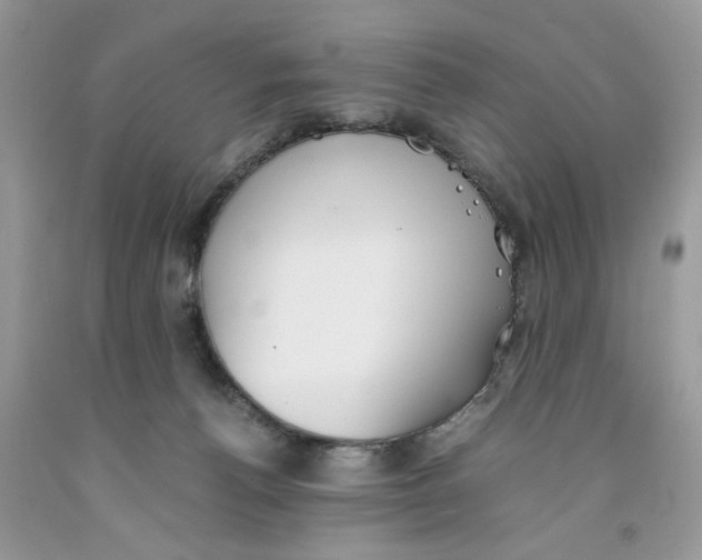 X0000091520176200709141422