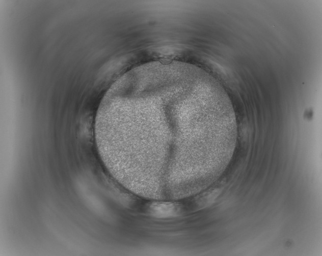 X0000091520181200709141422