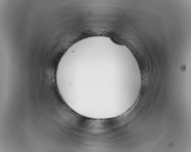 X0000091520182200709141422