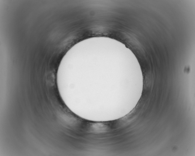 X0000091520183200709141422