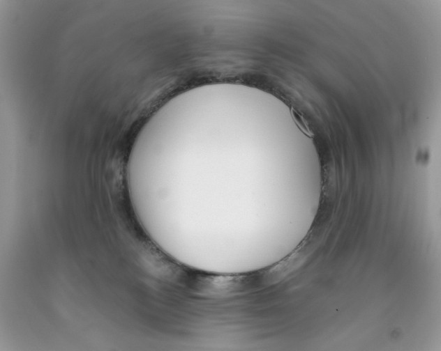 X0000091520184200709141422