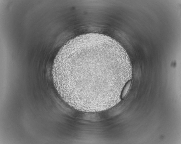 X0000091520185200709141422