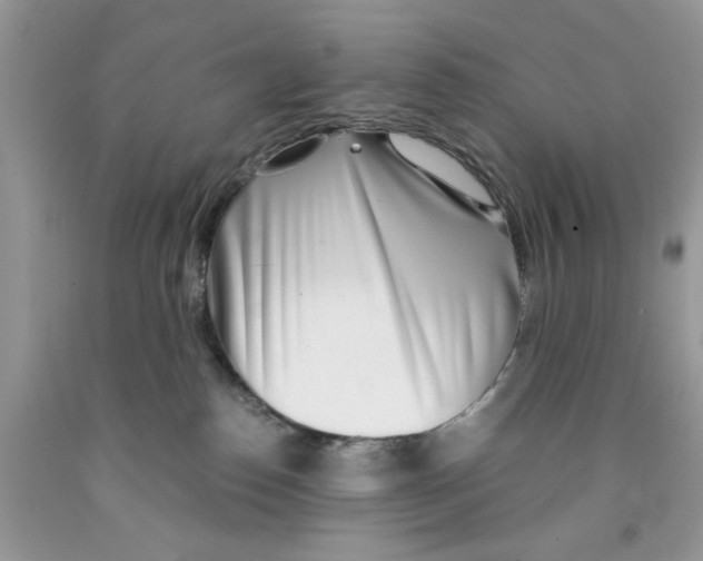 X0000091520186200709141422