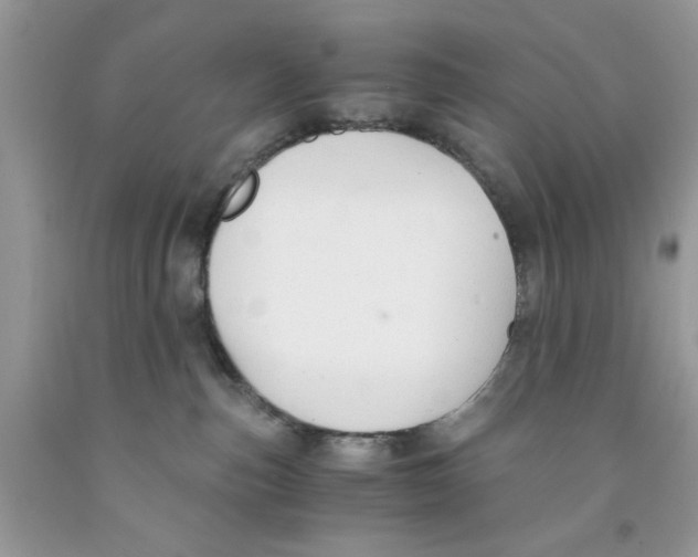 X0000091520187200709141422